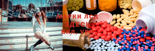 шишки Богородицк
